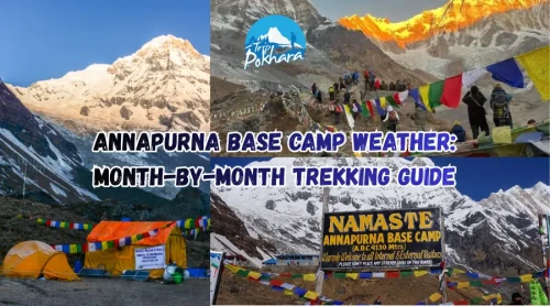 Annapurna Base Camp (ABC) Weather: A Month-by-Month Guide on the Best Time to Trek
